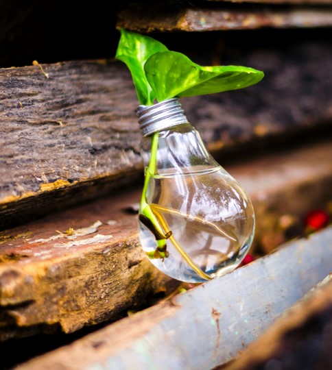 Environmental Featured